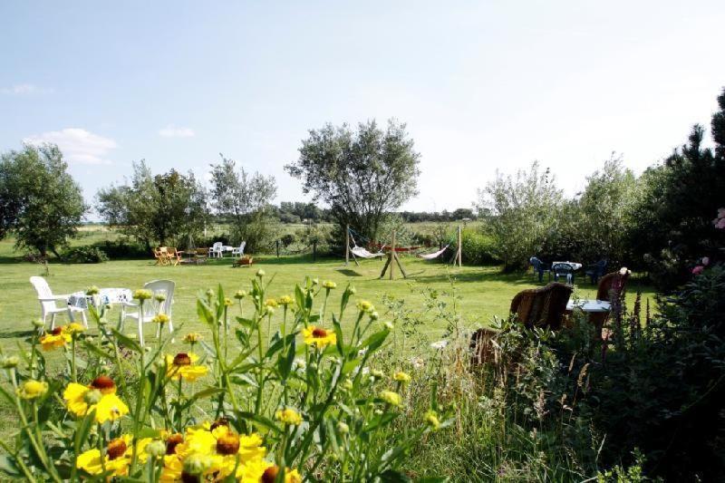 Landhaus-Sutje-Deichblick Sankt Peter-Ording Eksteriør billede