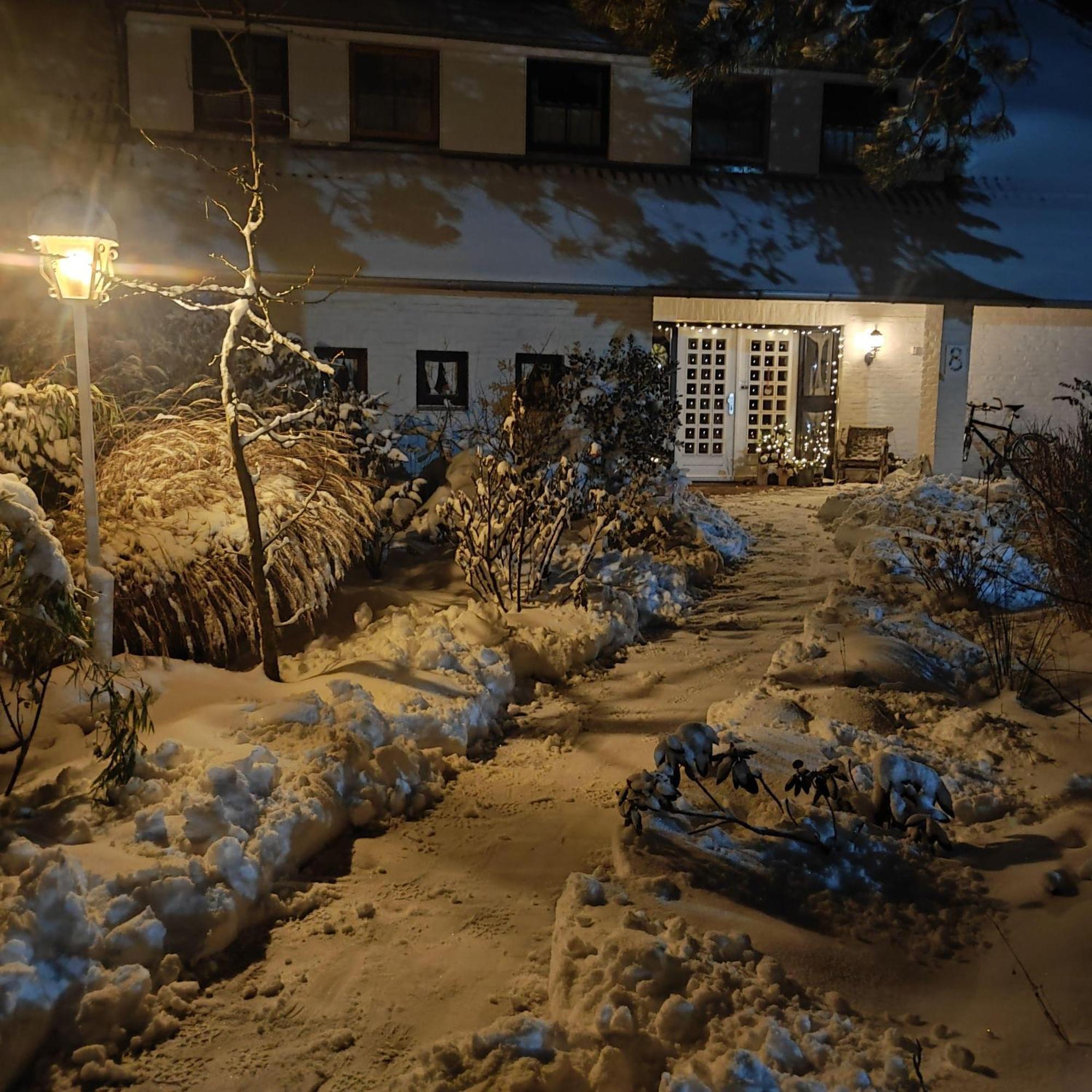 Landhaus-Sutje-Deichblick Sankt Peter-Ording Eksteriør billede